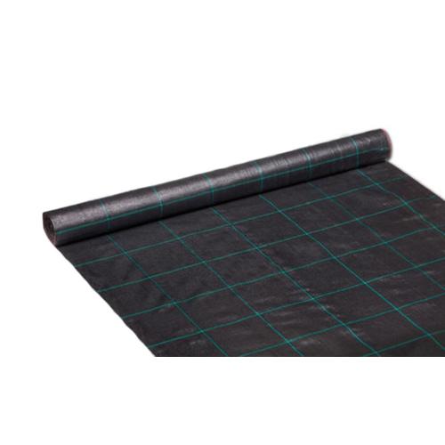 Agrotekstil 1,6x50m 50gr/m2 crna