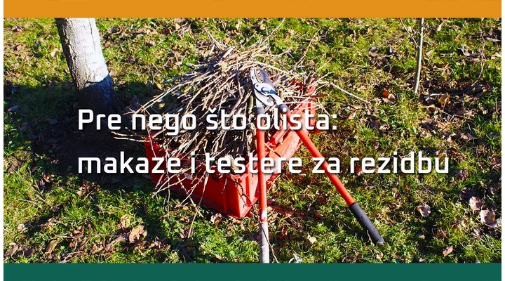 Zimska rezidba za letnje i jesenje plodove